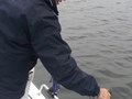 Stiucareala - 20130929115433.jpg